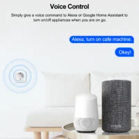 GIRIER Tuya Wifi Smart Plug 20A EU Smart Socket Outlet with Power Monitor Timer Function 4200W Compatible with Alexa Google Home - Image 4