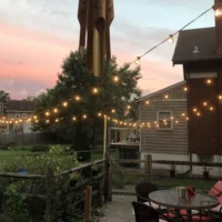Festoon LED Globe String Light Fairy LED G40 Outdoor For Christmas Party Garden Decorative Garland Lamp Street Patio Backyard - Image 5