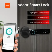 With Tuya Biometric Fingerprint Smart Door Lock Electronic Digital Lock Password Fingerprint Keyless Security Door Handle Home - Image 6