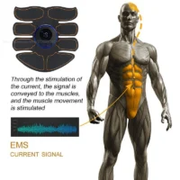 USB Rechargable EMS Muscle Stimulator Electric Massage Therapy Pain Relief Digital Meridian Full Body Massager Fitness - Image 2