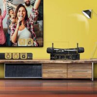 16-Channel Wireless Karaoke Mixer System with Dual Handheld Microphones - Image 6