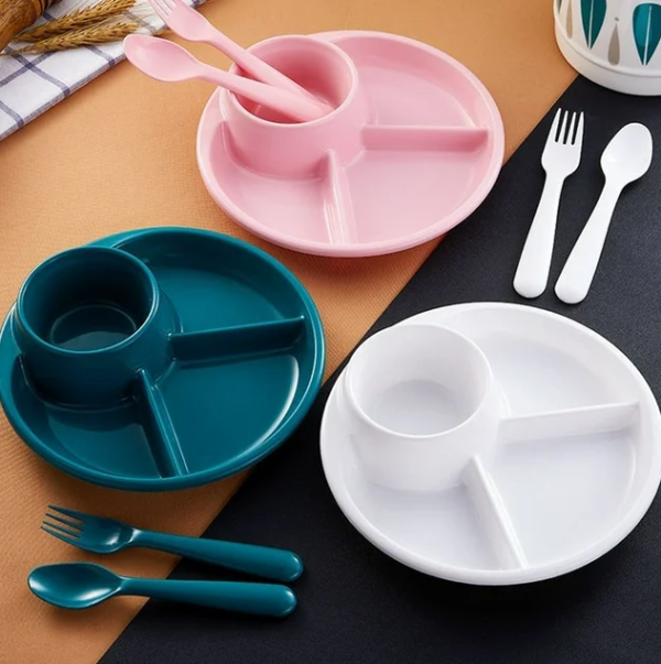 Plate Dish Bariatric Portion Meal