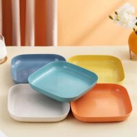 Eco-Friendly Wheat Straw Dinner Plates - Image 6